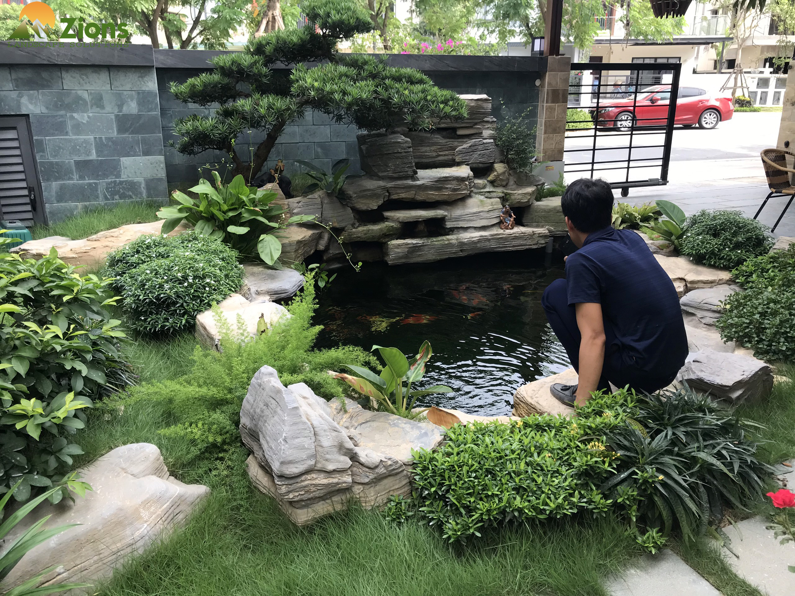 ho-ca-koi